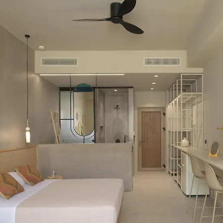 Nerea Boutique Hotel 4*